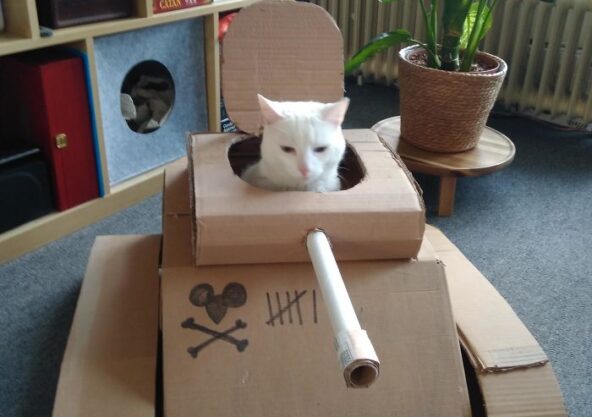 Cats Tanks