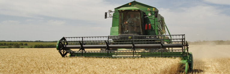 Harvested