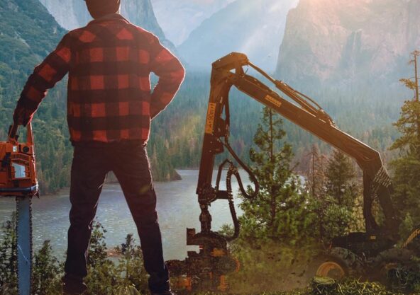 Lumberjack’s Dynasty