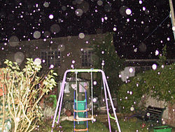 Orbs
